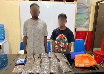 Polisi Bekuk Empat Pelaku Pemilik Ganja di Kota Jayapura