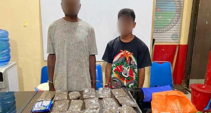 Polisi Bekuk Empat Pelaku Pemilik Ganja di Kota Jayapura