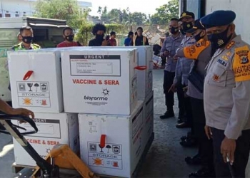 Vaksin Sinovac Tahap II Tiba di Jayapura