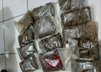 Barang bukti paket ganja yang sudah dibungkus dalam plastik saat diamankan polisi.(Hans Palen/Nokenlive.com)