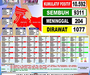 Data Satgas Covid Kota