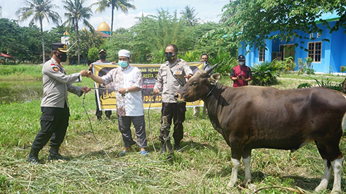 suasana penyerahan Hewan Qurban, oleh Wakapolresta Jayapura Kota bagi pengurus Ponpes di Muara Tami.