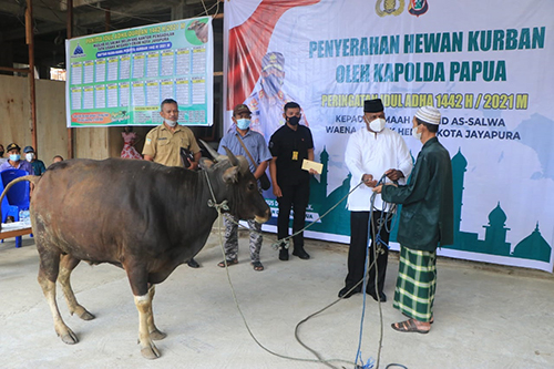 penyerahan Hewan Qurban oleh Kapolda Papua, ke pengurus masjid dalam rangka Idul Adha 1442 H tahun 2021.