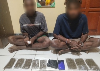 Bawa Narkoba Jenis Ganja, Dua Pemuda Di Tangkap Tim Opsnal Narkoba Polda Papua