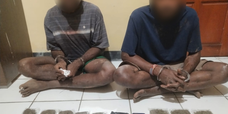 Bawa Narkoba Jenis Ganja, Dua Pemuda Di Tangkap Tim Opsnal Narkoba Polda Papua