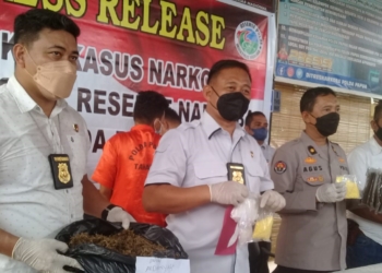Polda Papua Ungkap Kasus Narkoba dan Pohon Ganja