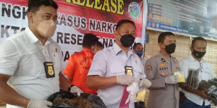 Polda Papua Ungkap Kasus Narkoba dan Pohon Ganja