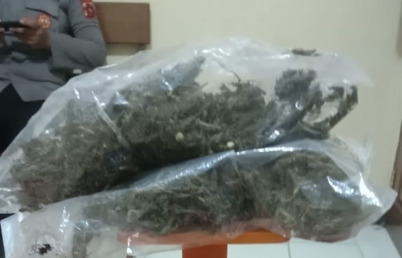Polisi Kembali Ciduk Calon Penumpang Kapal di Pelabuhan Kedapatan Bawa Ganja