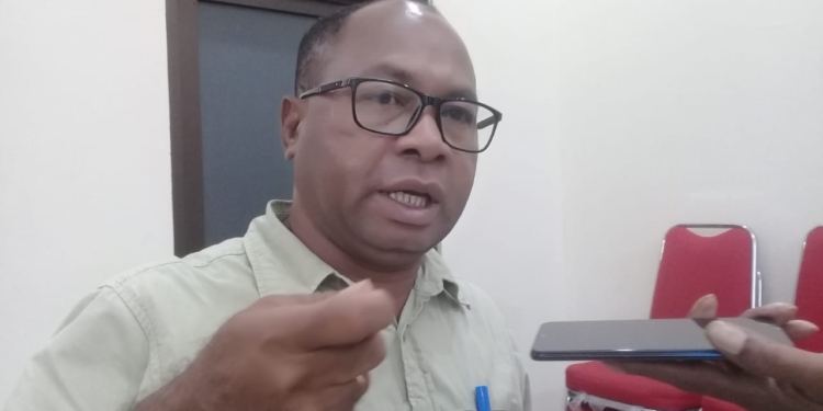 Komnas HAM Papua Bentuk Tim Investigasi Kasus Mutilasi di Kabupaten Mimika