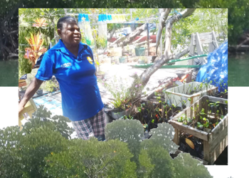 Warga Kampung EnggrosTanam Buah Manggrov untuk Penuhi Kebutuhan Keluarga