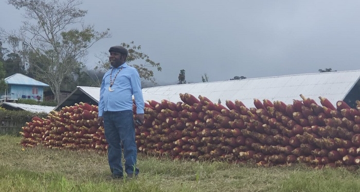 Bagi Ribuan Buah Merah, Levianus Kogoya Dapat Rekor Muri