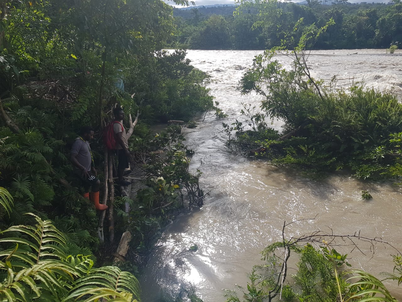 Kabid Humas Polda Papua : Semua Korban Jembatan Gantung Putus Sungai Digoel Telah Ditemukan