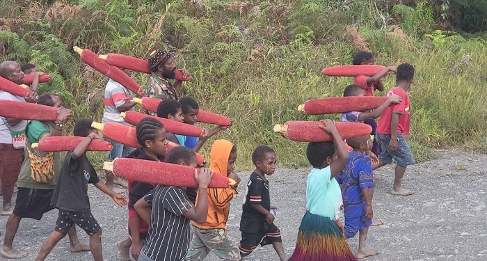Bagi Buah Merah, Levianus Dinilai Kembalikan Budaya