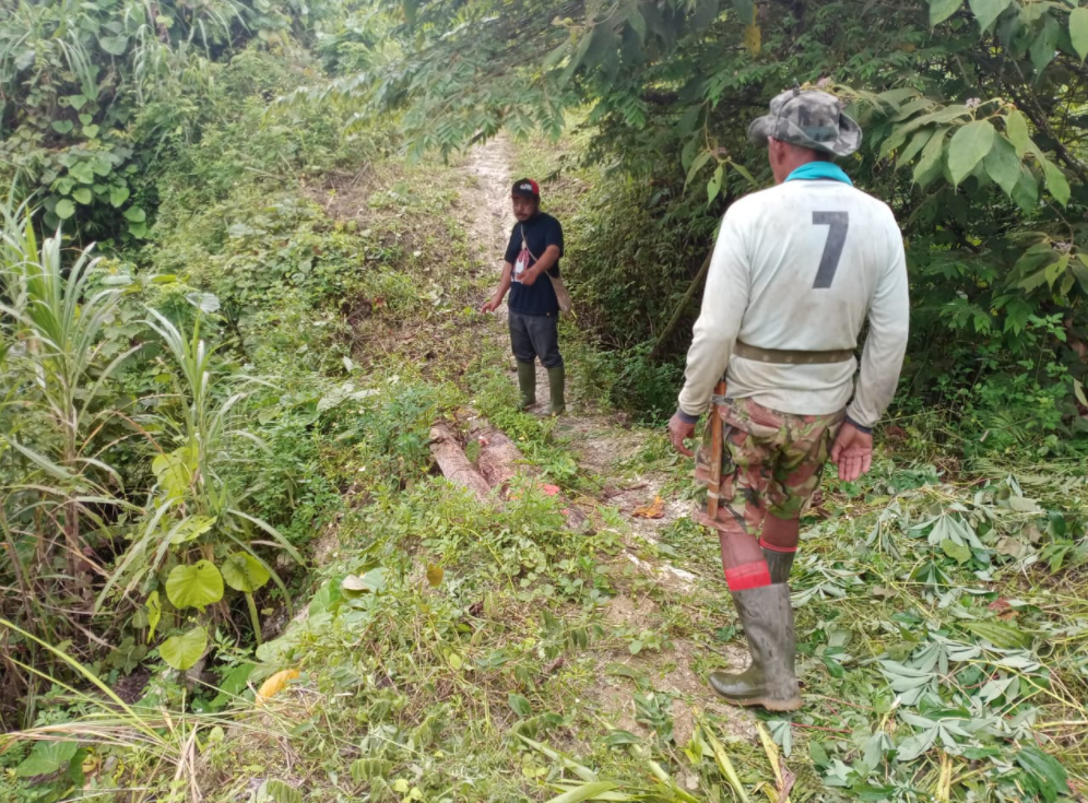 Penampakan irigasi sebelum dikeruk, tertutup lumpur dan semak semak(FOTO SITIMEWA/RED)