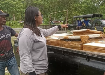 Drh. Selly Margareth Sitinjak dari kantor Karantina Kelas 1 Biak Numfor saat melakukan pemeriksaan terhadap 7 kulbox berisikan daging sapi potong tanpa dilengkapi dokumen sah dari kantor Karantina Manokwari.(FOTO LISA R.)