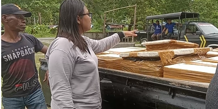 Drh. Selly Margareth Sitinjak dari kantor Karantina Kelas 1 Biak Numfor saat melakukan pemeriksaan terhadap 7 kulbox berisikan daging sapi potong tanpa dilengkapi dokumen sah dari kantor Karantina Manokwari.(FOTO LISA R.)