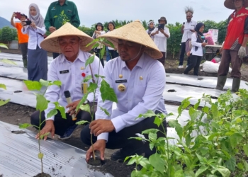Penjabat (Pj) Bupati Jayapura Triwarno Purnomo, S.STP., M.Si bersama dinas terkait dan petani ketika melakukan kegiatan pencanangan gerakan tanam Cabai dan Bawang. (FOTO/HANS PALEN)