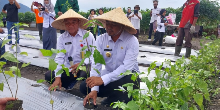 Penjabat (Pj) Bupati Jayapura Triwarno Purnomo, S.STP., M.Si bersama dinas terkait dan petani ketika melakukan kegiatan pencanangan gerakan tanam Cabai dan Bawang. (FOTO/HANS PALEN)