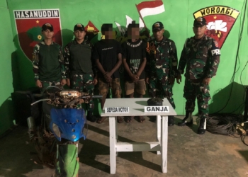 Satgas Pamtas RI-PNG Yonif 725/Wrg Pos KM 53 tangkap 2 pelajar SMU bawa narkoba ganja