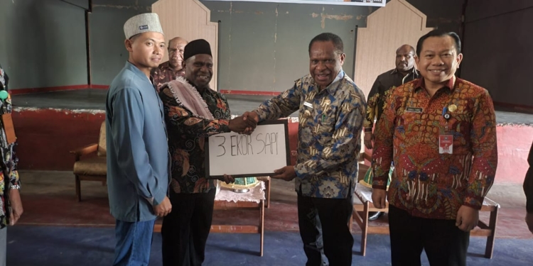 PJ Gubernur Papua Pegunungan Serahkan Hewan Qurban Kepada MUI Jayawijaya