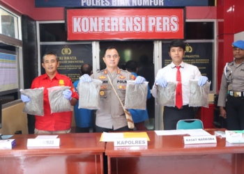 Polisi Tangkap 2 Pasangan Kekasih Bawa Ganja di Pelabuhan Biak