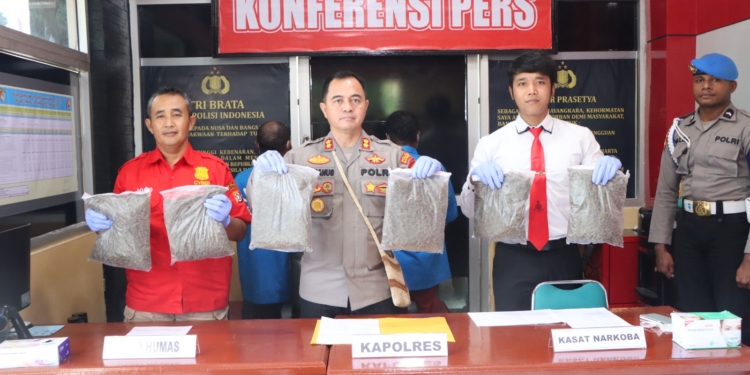 Polisi Tangkap 2 Pasangan Kekasih Bawa Ganja di Pelabuhan Biak