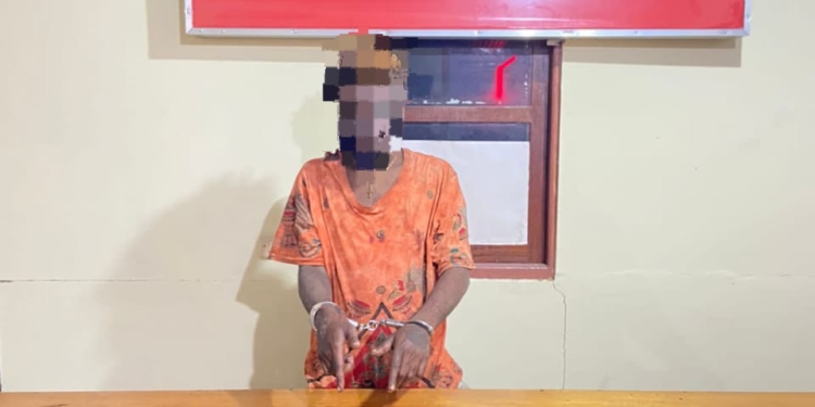 Satresnarkoba Polres Nabire Amankan Terduga Pelaku Pengedar Narkotika Jenis Ganja.