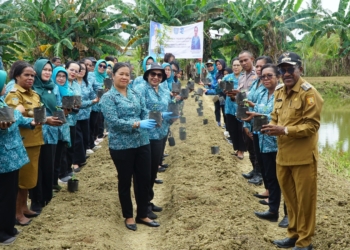 PJ Walikota : Penanaman 650 Bibit Cabe Bantu Mengendalikan Inflasi di Pasaran