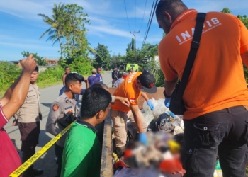 Di Sentani Bayi Jenis Kelamin Perempuan Ditemukan Di Tempat Sampah