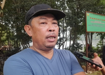 Kadis PUPR : Pepohonan Di Jalan Utama Akan Di Pangkas Dan Tebang