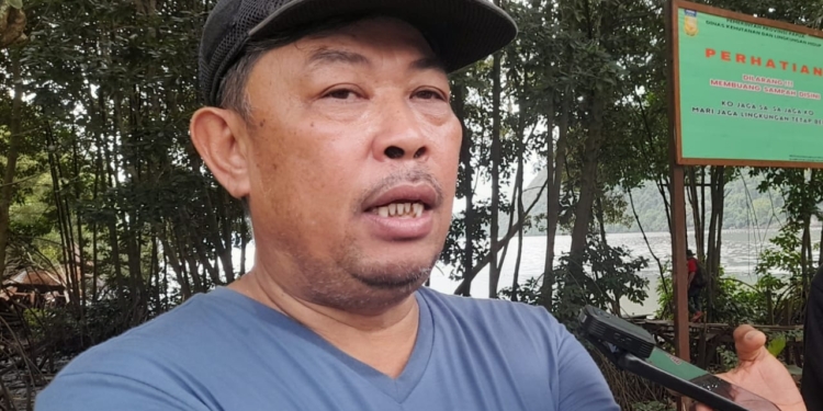 Kadis PUPR : Pepohonan Di Jalan Utama Akan Di Pangkas Dan Tebang