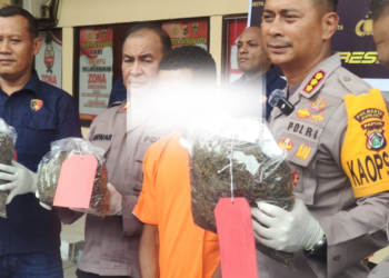 Sat Narkoba Berhasil Ungkap Kasus Peredaran Narkotika Jenis Ganja di Pelabuhan, 1 Kasusnya Pelaku berhasil di Tangkap Inisial JN
