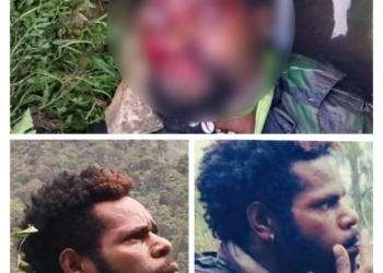 Aparat Gabungan TNI-Polri Amankan Satu Anggota KKB Di Paniai, Papteng