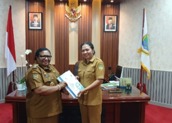 Pemprov Papua Tengah Telah Merampungkan Pelimpahan Aset dari Papua
