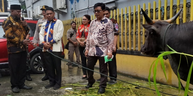 Sambut Idul Adha 1445 H Thn 2024, Pj Walikota Serahkan Hewan Qurban Di Masjid Raya