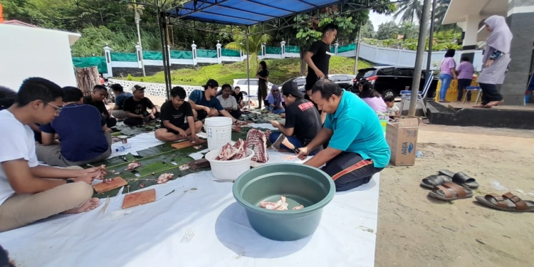 Kejari Jayapura Sembelih 4 Ekor Hewan Kurban Pada Hari Raya Idul Adha 1445 H Tahun 2024