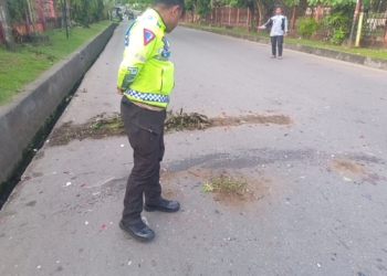 Akibat Pengaruh Alkohol Tiga Pengendara Motor Di Waena Harus Di Bawah Ke Rumah Sakit