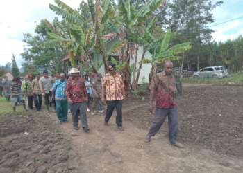 Bupati Jayawijaya Ajak Petani Manfaatkan Internet Kembangkan Pertanian