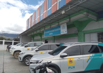 PLN Wamena Mengupayakan Listrik 24 Jam Di Lanny Jaya