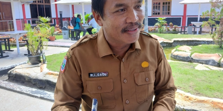 Pasca First Landing, Pesawat Trans Nusa Belum Bisa Lakukan Operasi Regulernya, Ini Alasannya