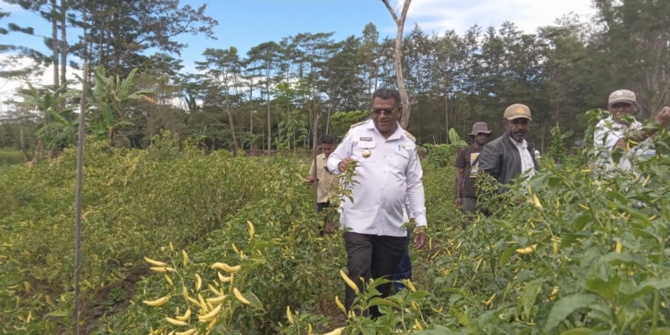 Bupati Thony Apresiasi Masyarakat Hubikosy Buka Satu Hektare Perkebunan