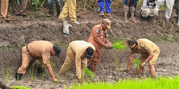 Bupati Jayawijaya Turun Kampung Motivasi Masyarakat Bertani