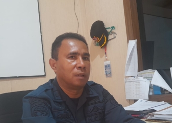 KSOP Jayapura : Penumpang Kapal Pelni Tujuan Nabire Paling Dominan Selama Tahun 2024