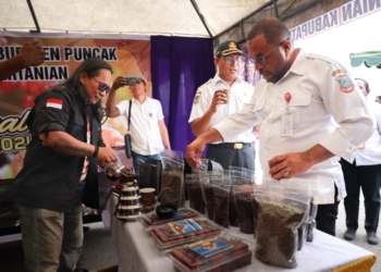 Bapperinda Papua Tengah Gelar Festival Kopi Meepago 2024, Edy Way : Profesi Yang Menjanjikan Bagi Petani Kopi