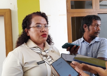 BPKAD Kota Jayapura Gelar HLM dan Capacity Building Terkait Penerapan ETPD Tahun 2024 di Pemkot Jayapura