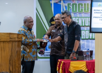 Pemprov Papua Tengah Gelar FGD Penyusunan Rencana Umum Energi Daerah