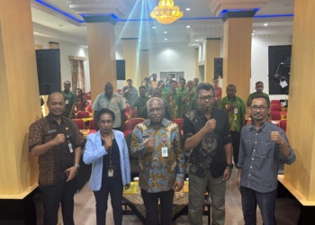 Sekda Provinsi Papua Tengah Resmi Buka FGD Penyusunan Rencana Umum Energi Daerah
