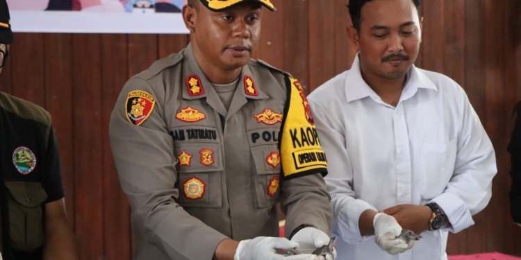 Polres Asmat Polda Papua  Ungkap Kasus Perdagangan Ribuan Labi-Labi Moncong Babi