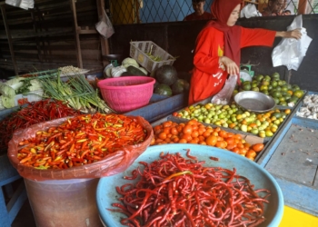 Pedagang Dan Petani Di Nabire Menjerit, Harga Cabe Rp 50.000/kg. Pembeli Kurang, Stok Banyak Busuk Bakal Dibuang
