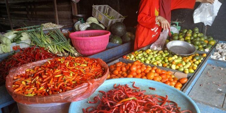 Pedagang Dan Petani Di Nabire Menjerit, Harga Cabe Rp 50.000/kg. Pembeli Kurang, Stok Banyak Busuk Bakal Dibuang
